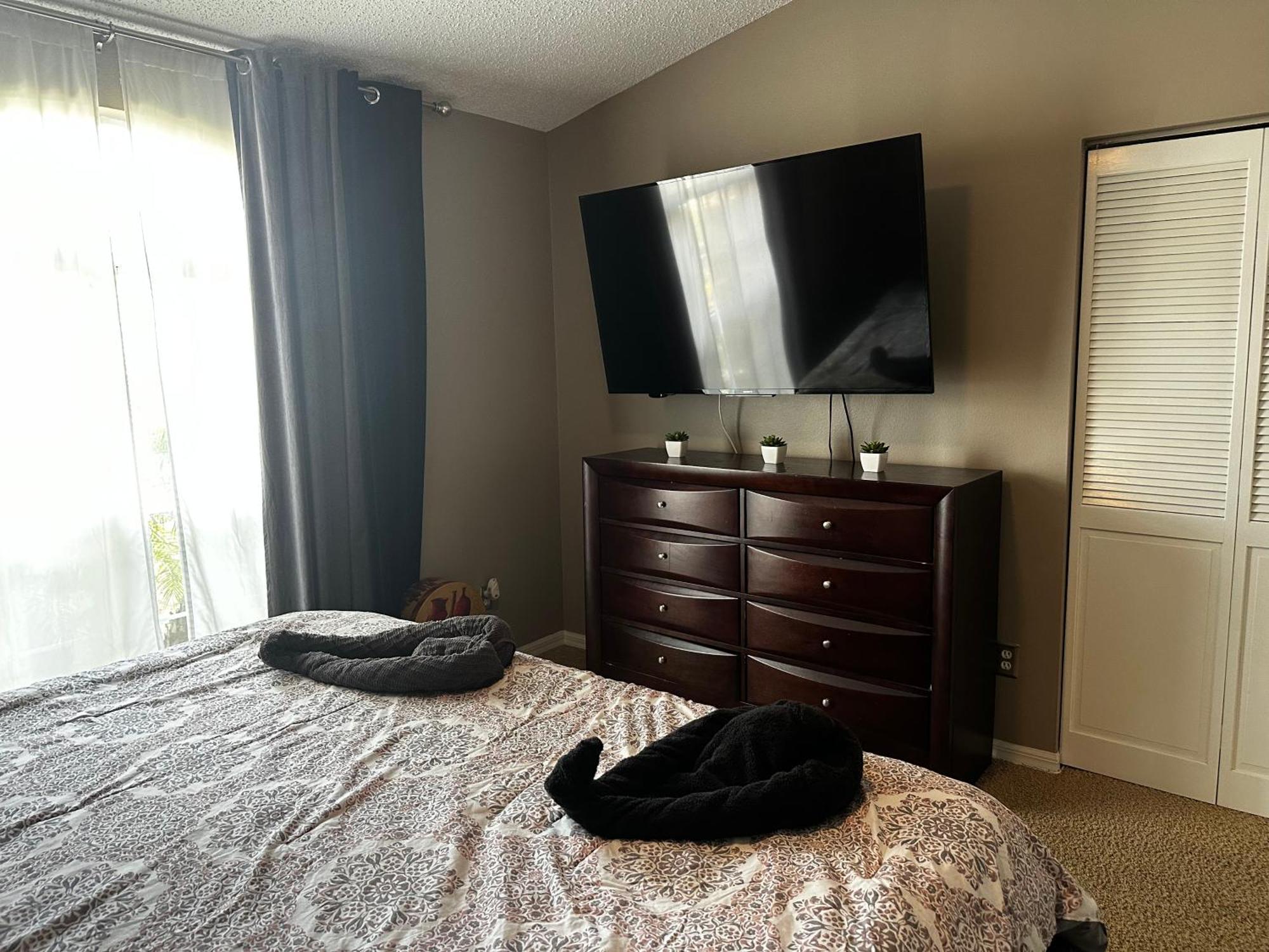 Cozy 3 Bedroom Home Close To Everything In Tampa! Exteriör bild